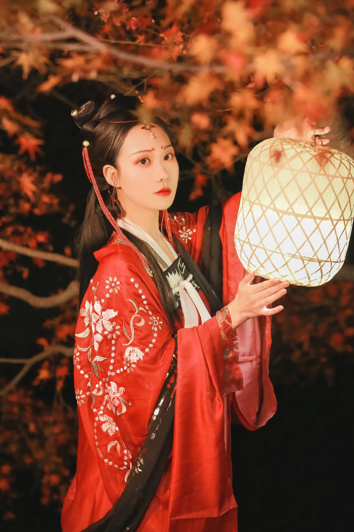 红罗意1