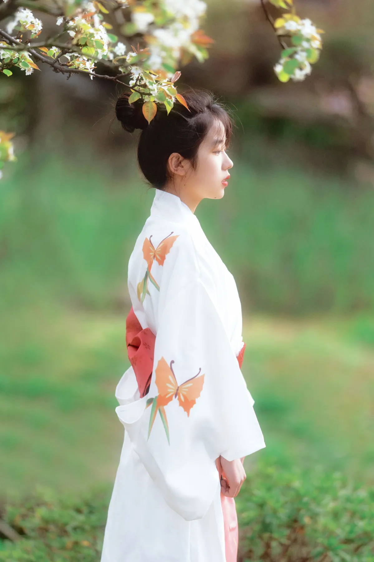 春日花