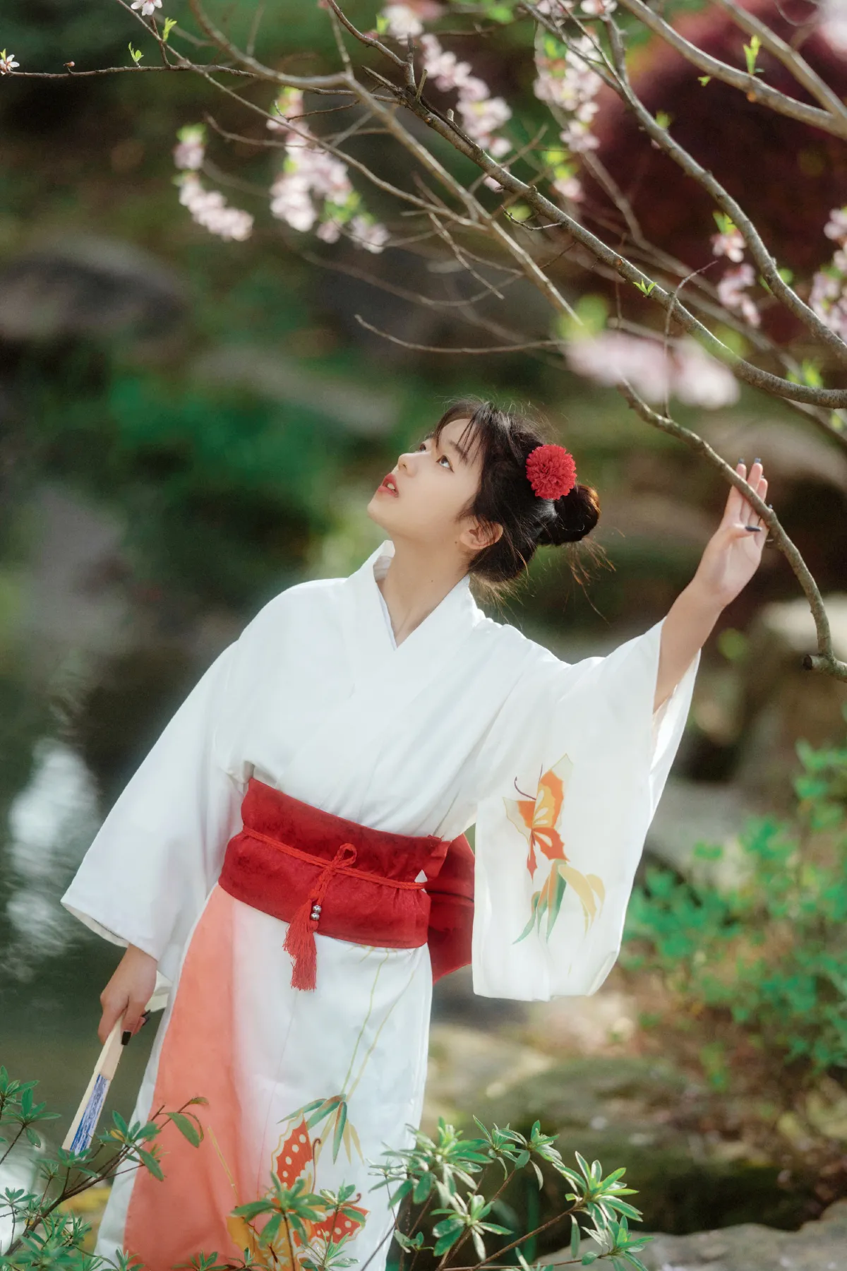 春日花