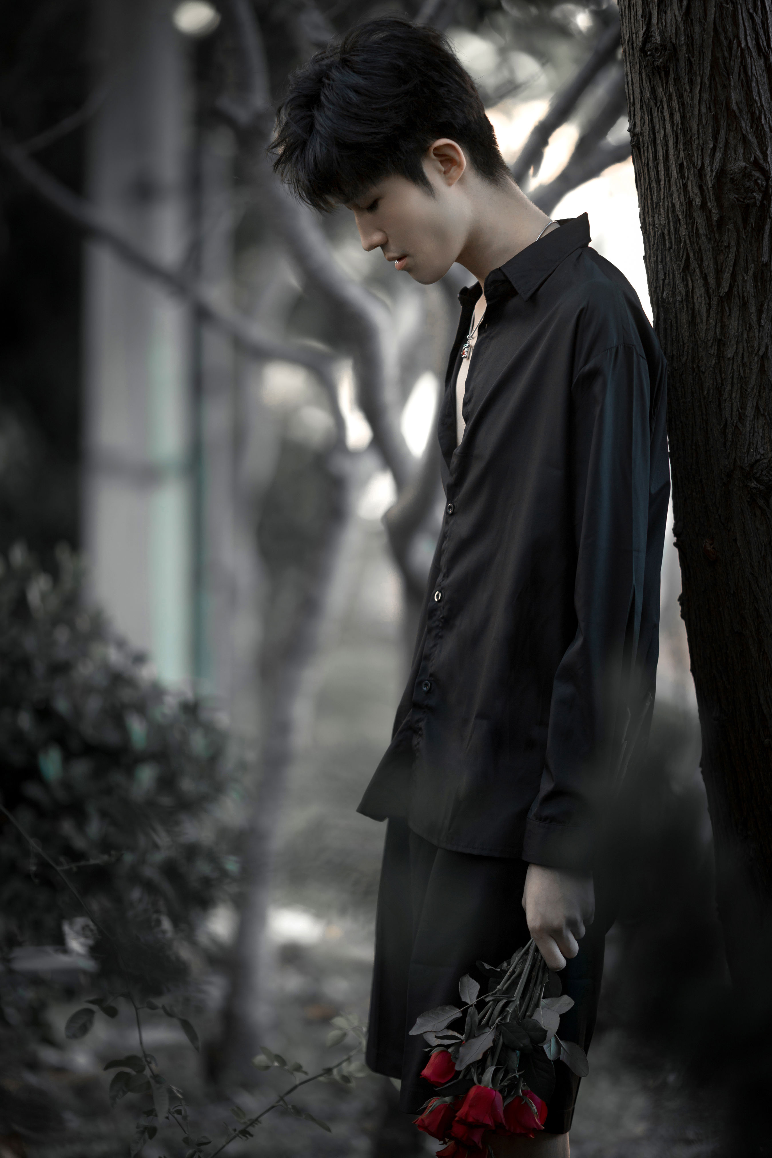 玫瑰少年