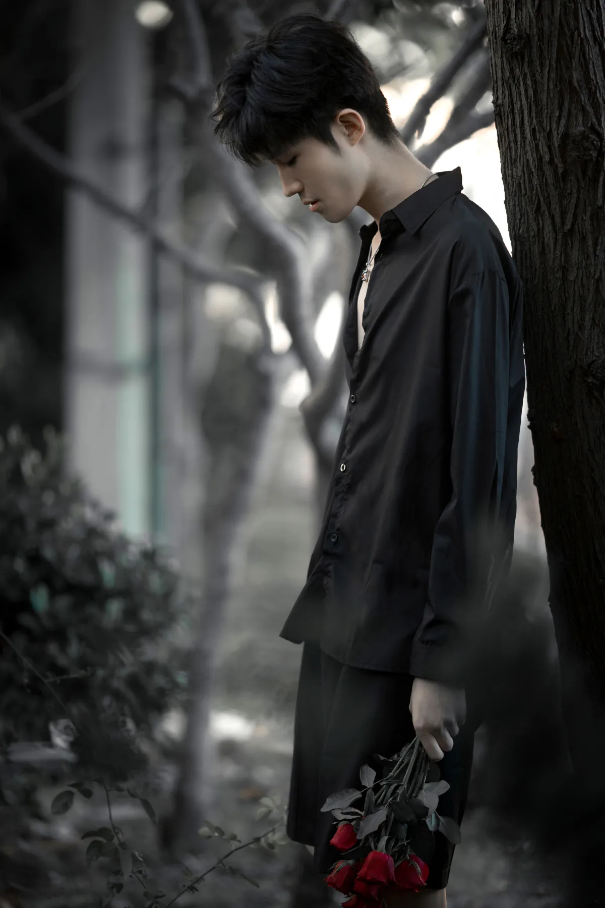 玫瑰少年1