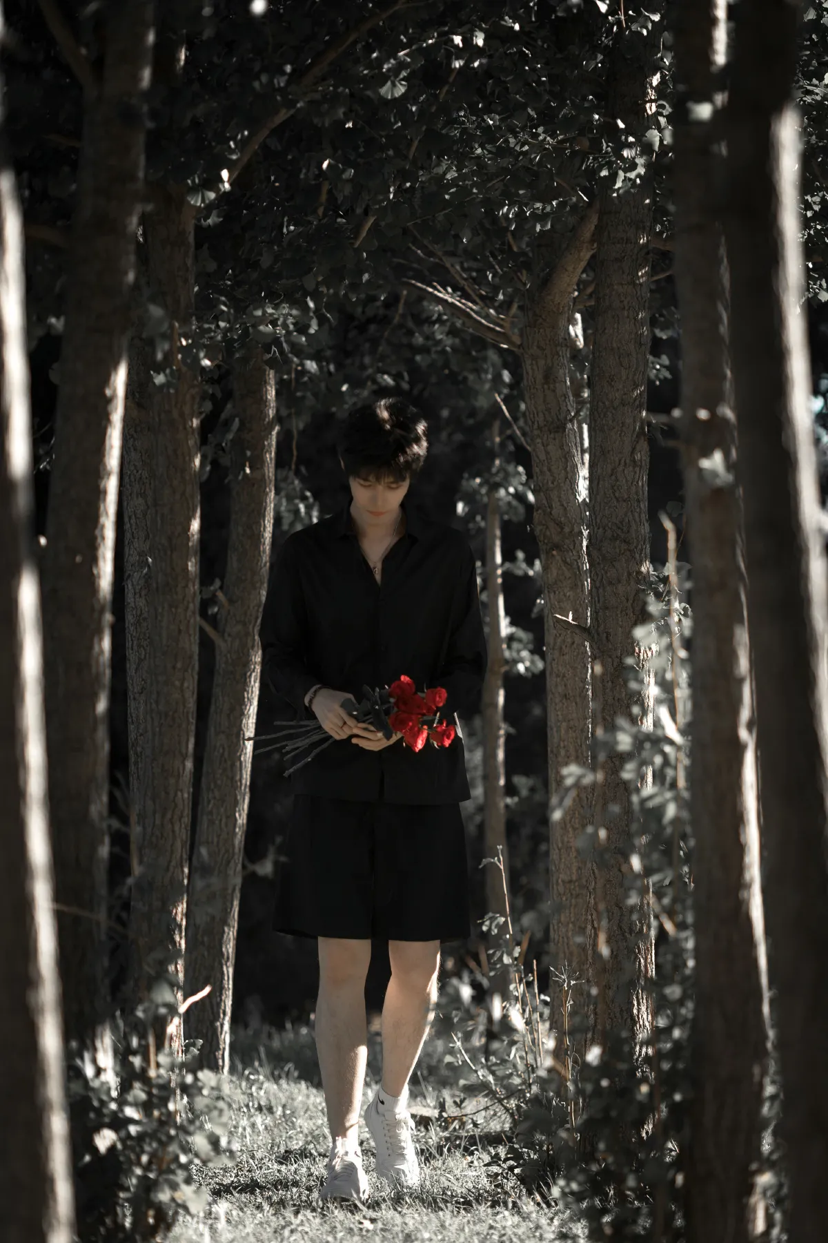 玫瑰少年