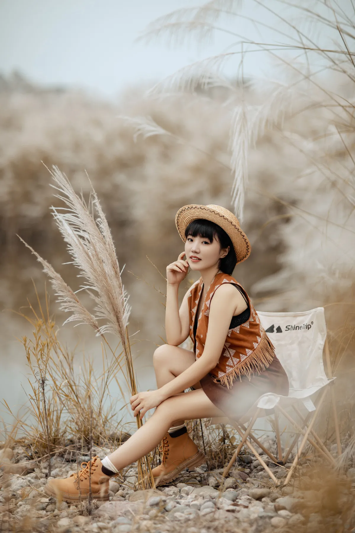 秋天的芦苇2