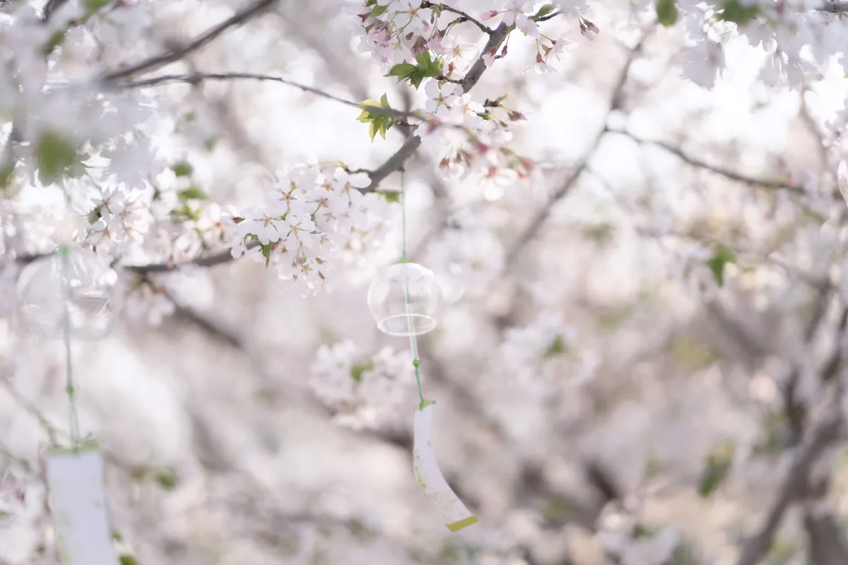 玲珑