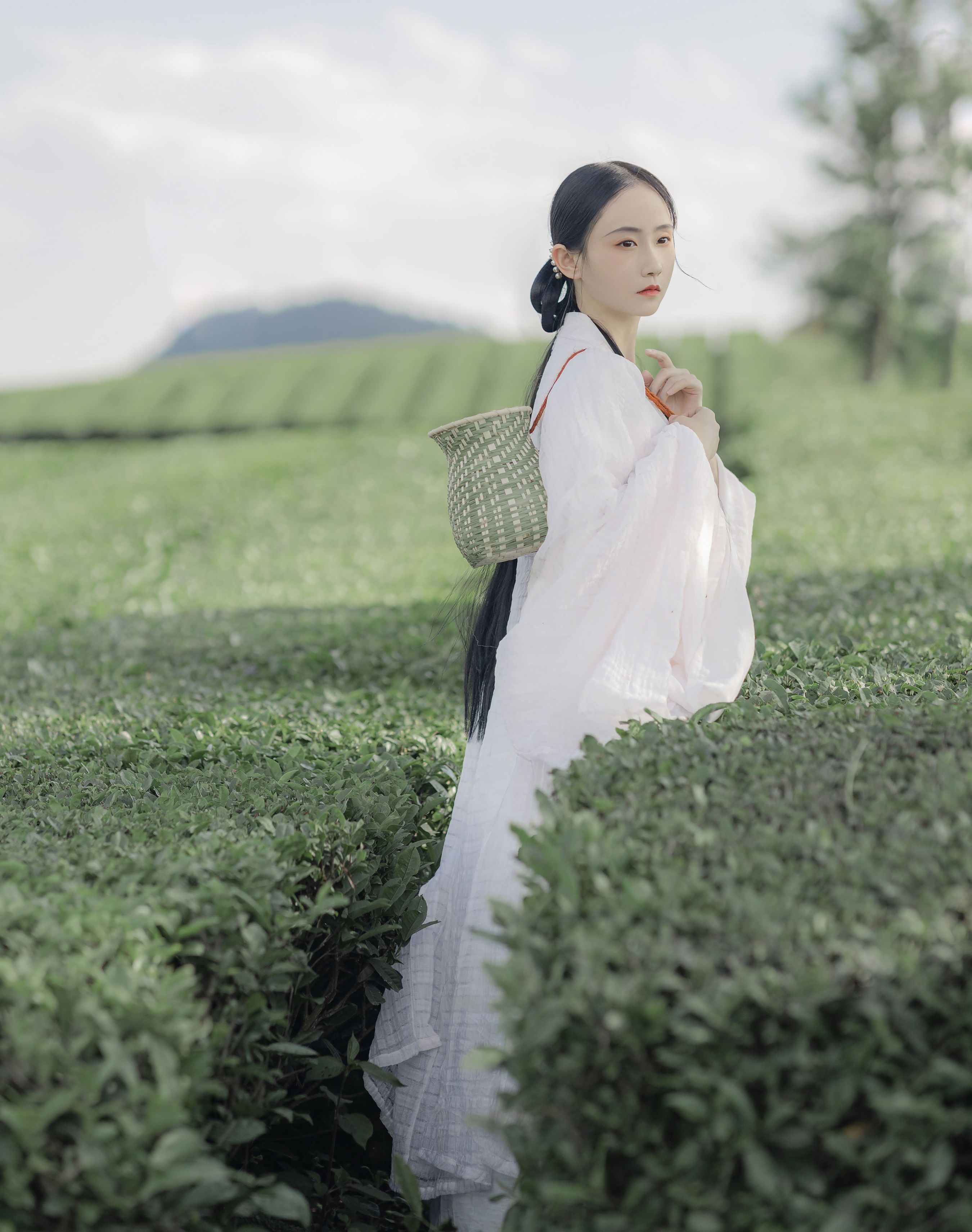 衣袖染茶香