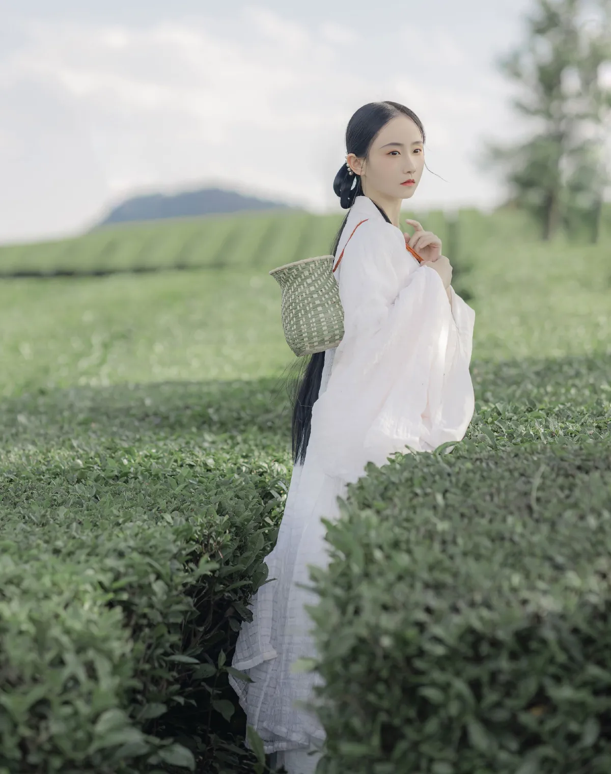 衣袖染茶香