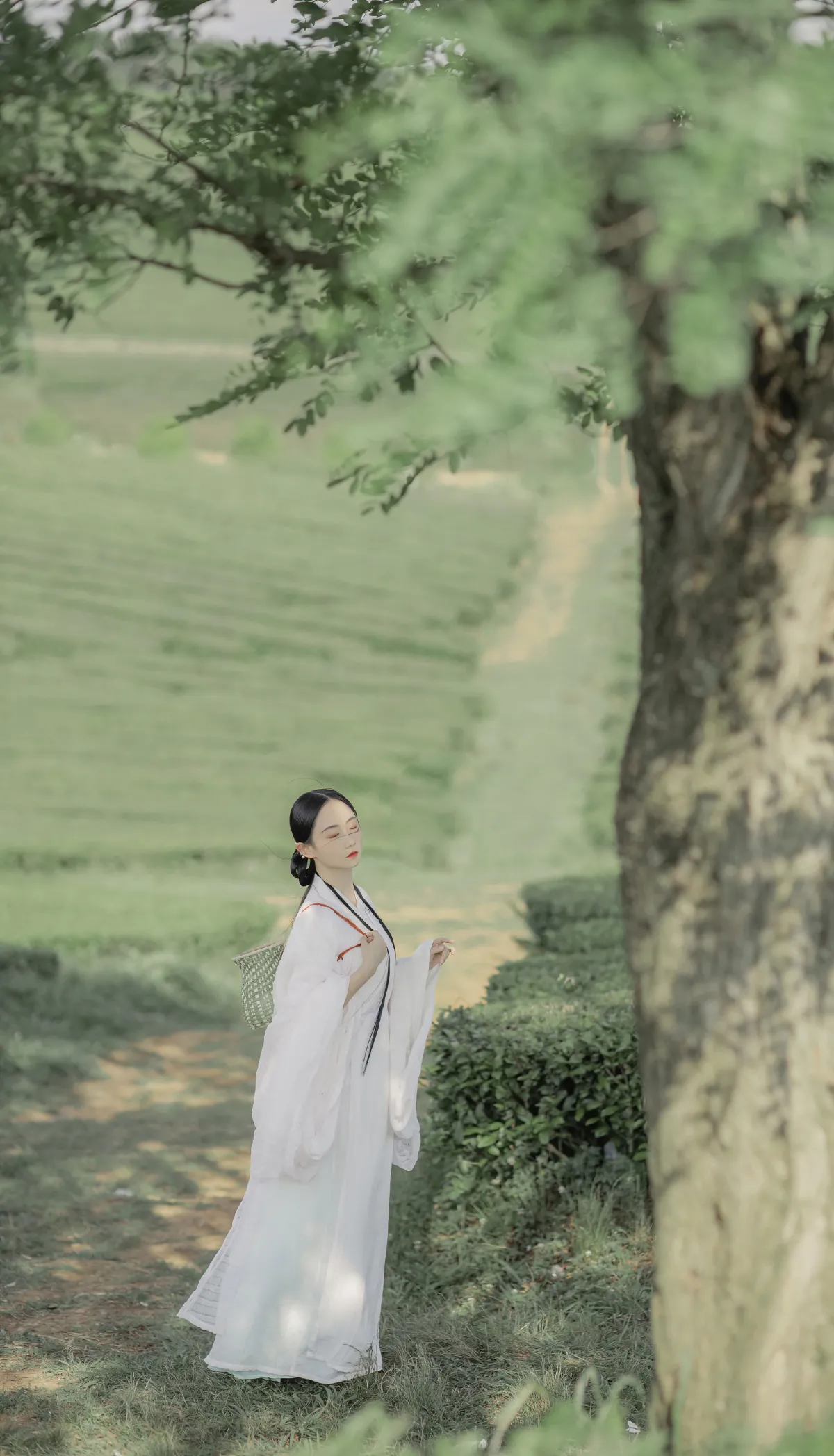 衣袖染茶香