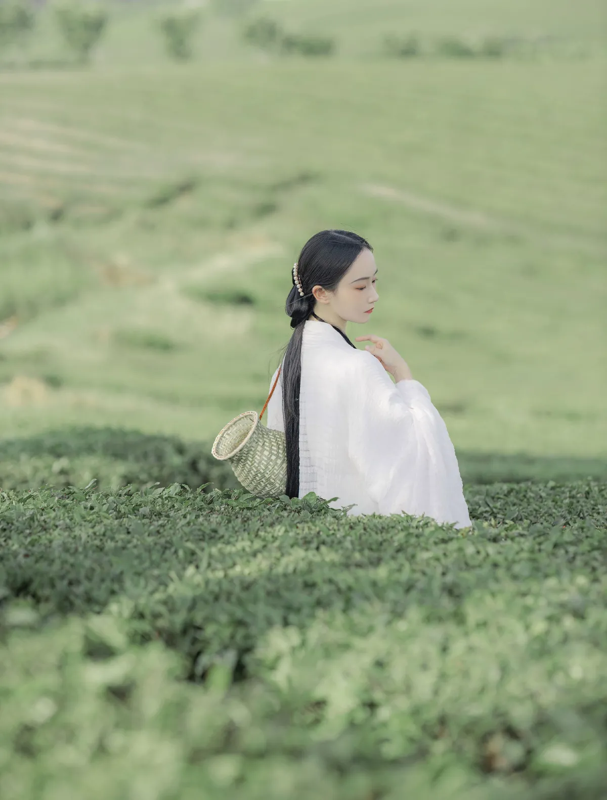 衣袖染茶香