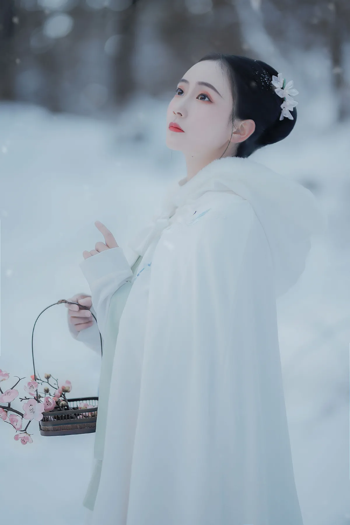 寒酥2