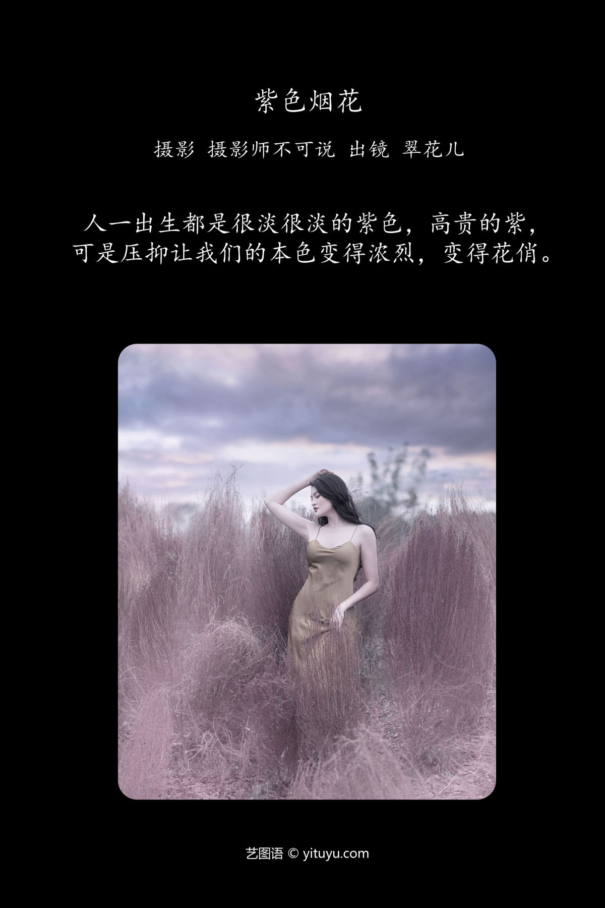 摄影师不可说_翠花儿《紫色烟花》美图作品图片2