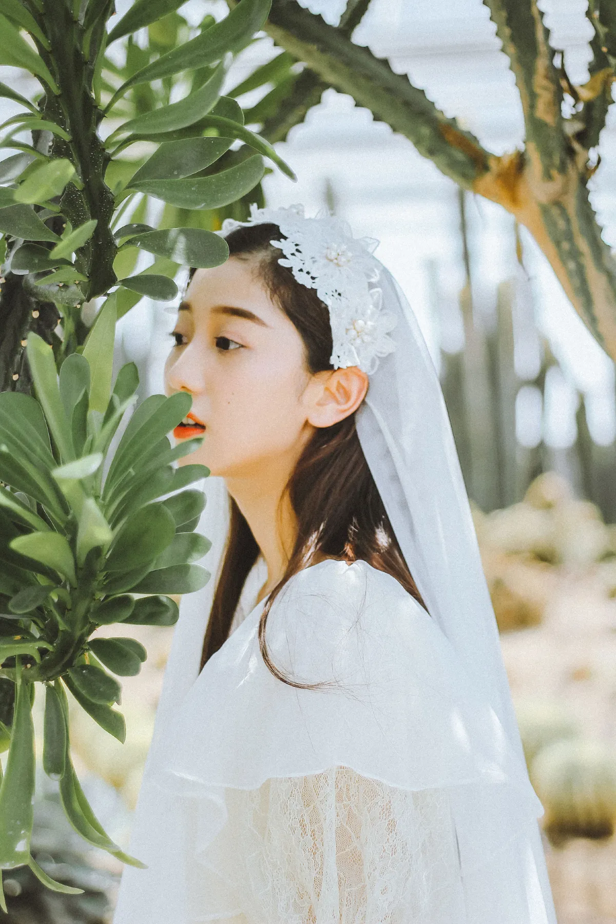 少女的怦然心动5