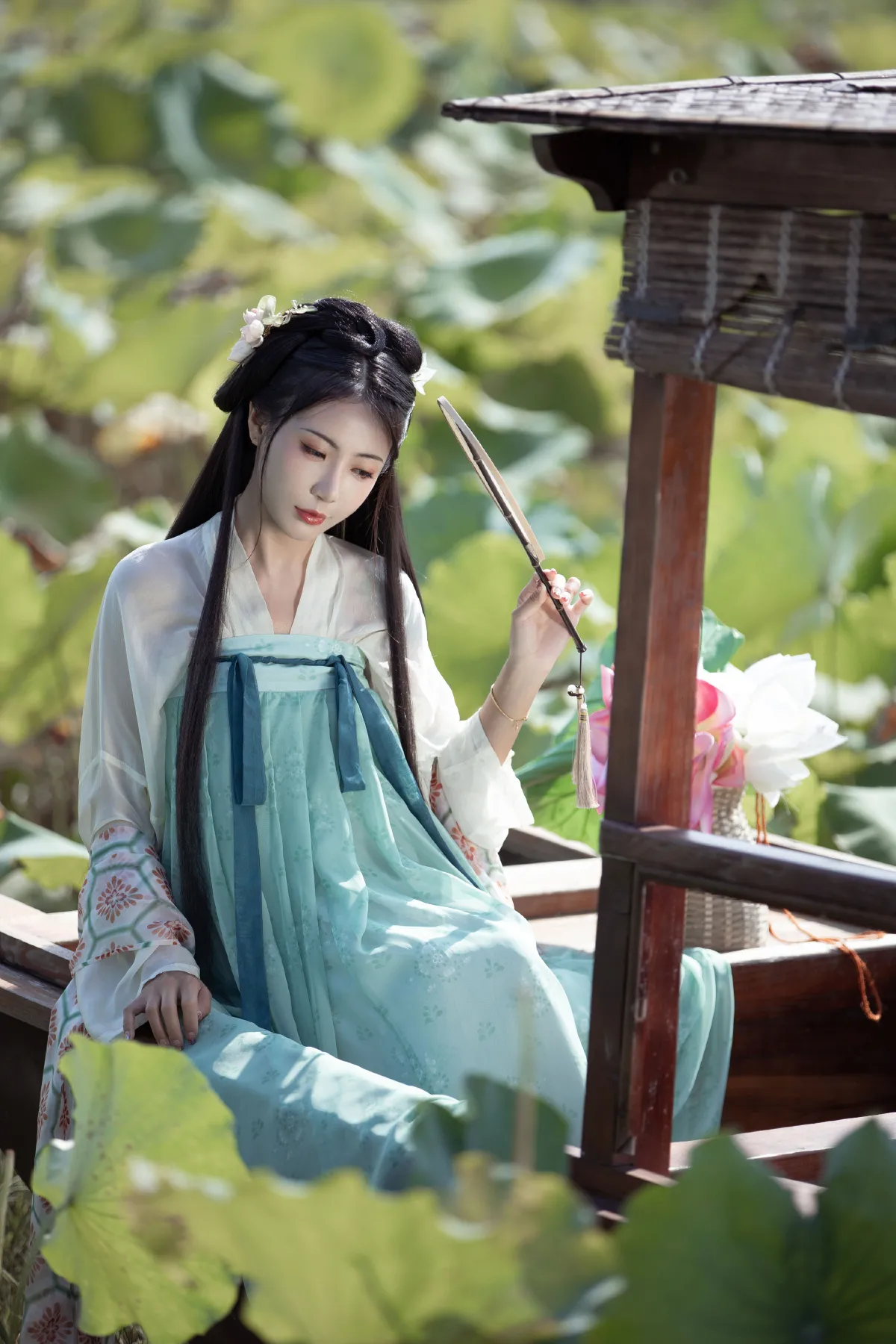 荷芰2