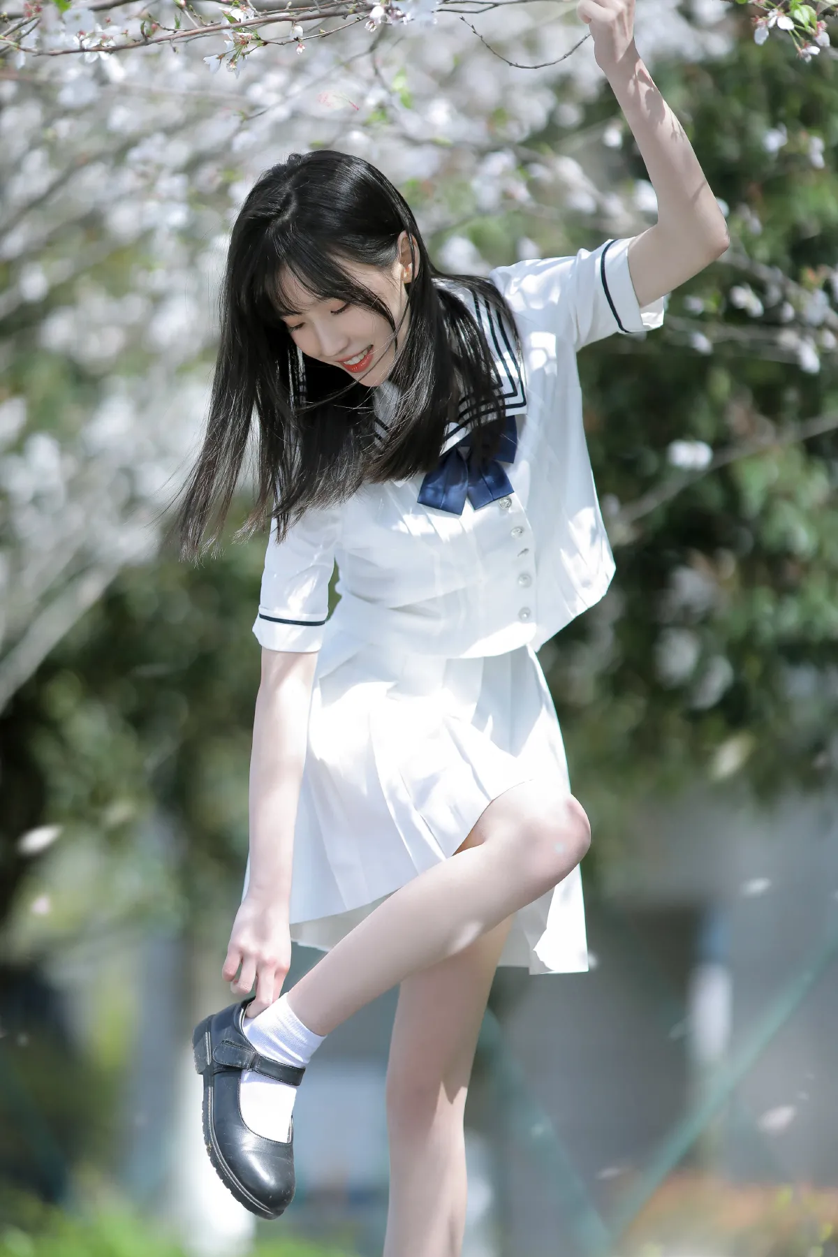 春日樱花3