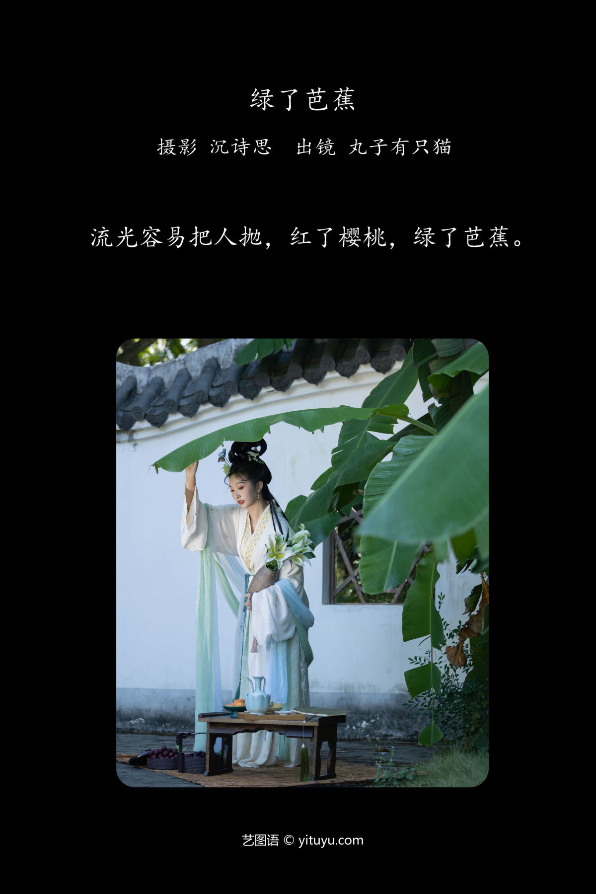 沉诗思_丸子有只猫《绿了芭蕉》美图作品图片2