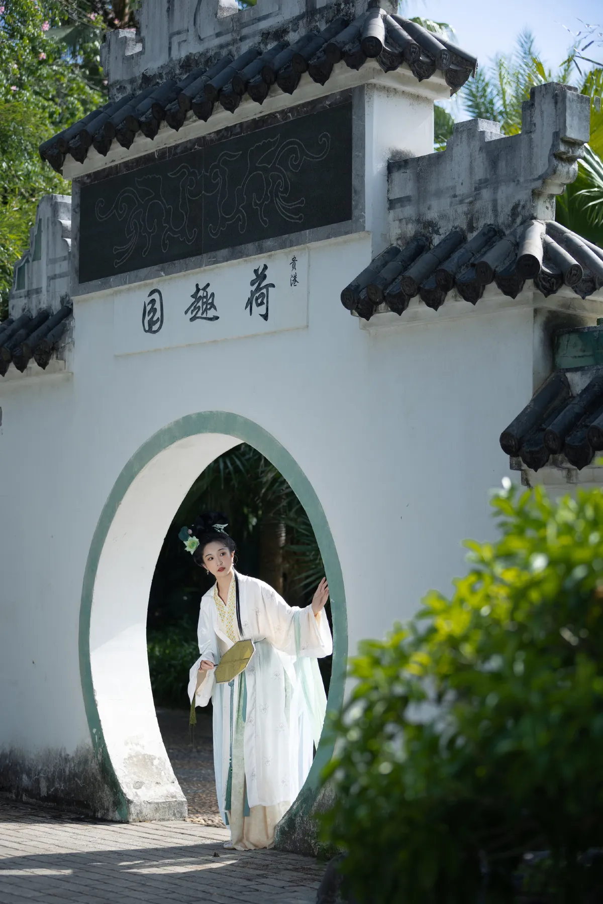绿了芭蕉1