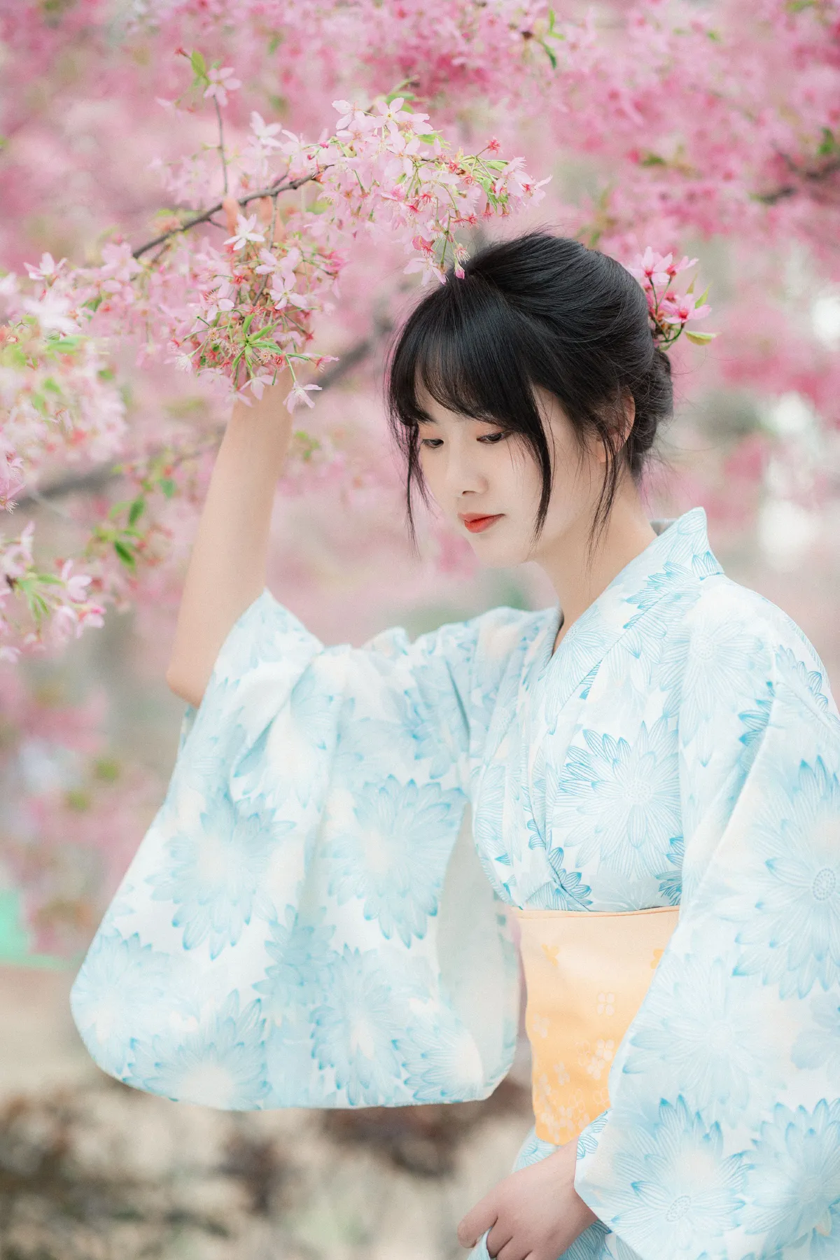 肖萌Cream_爱拍照的梅梅《樱花树下》美图作品图片1