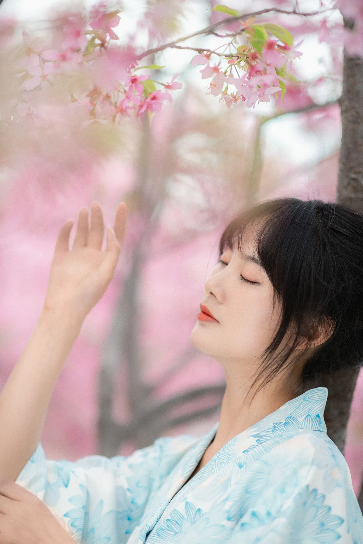 肖萌Cream_爱拍照的梅梅《樱花树下》美图作品图片2