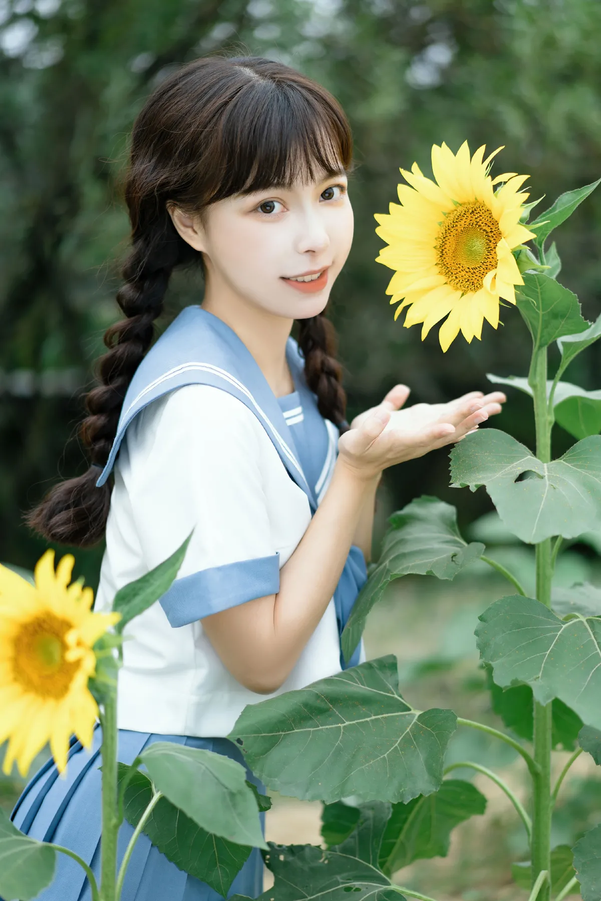 向日葵之约