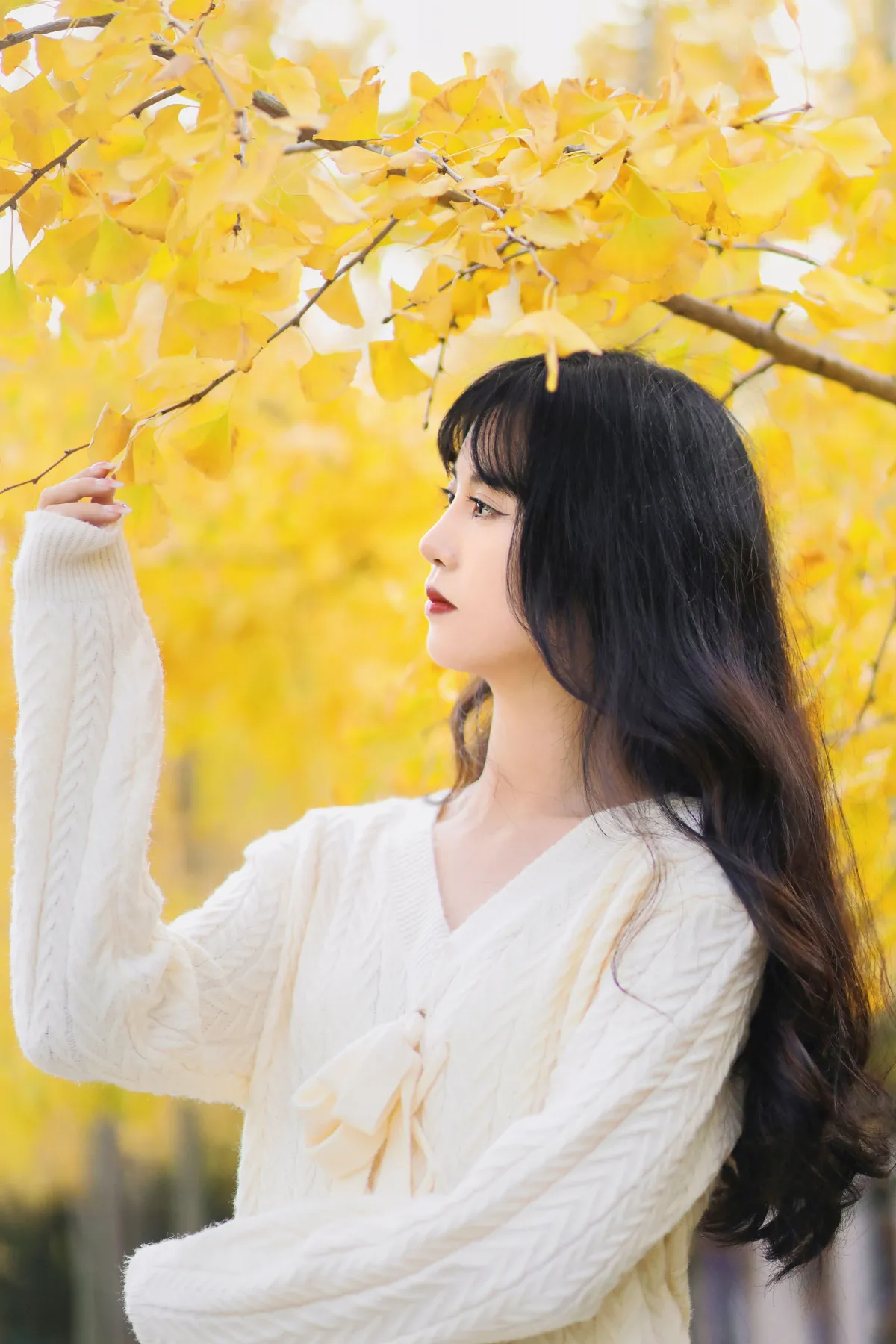怀秋2