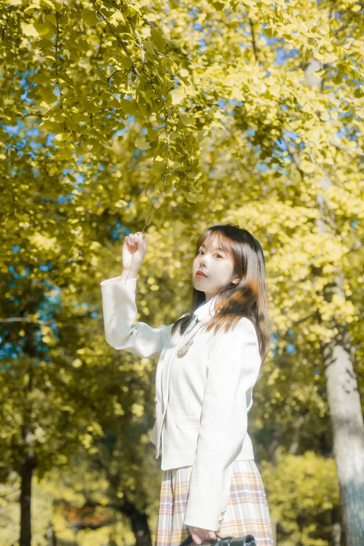 奶油味的秋