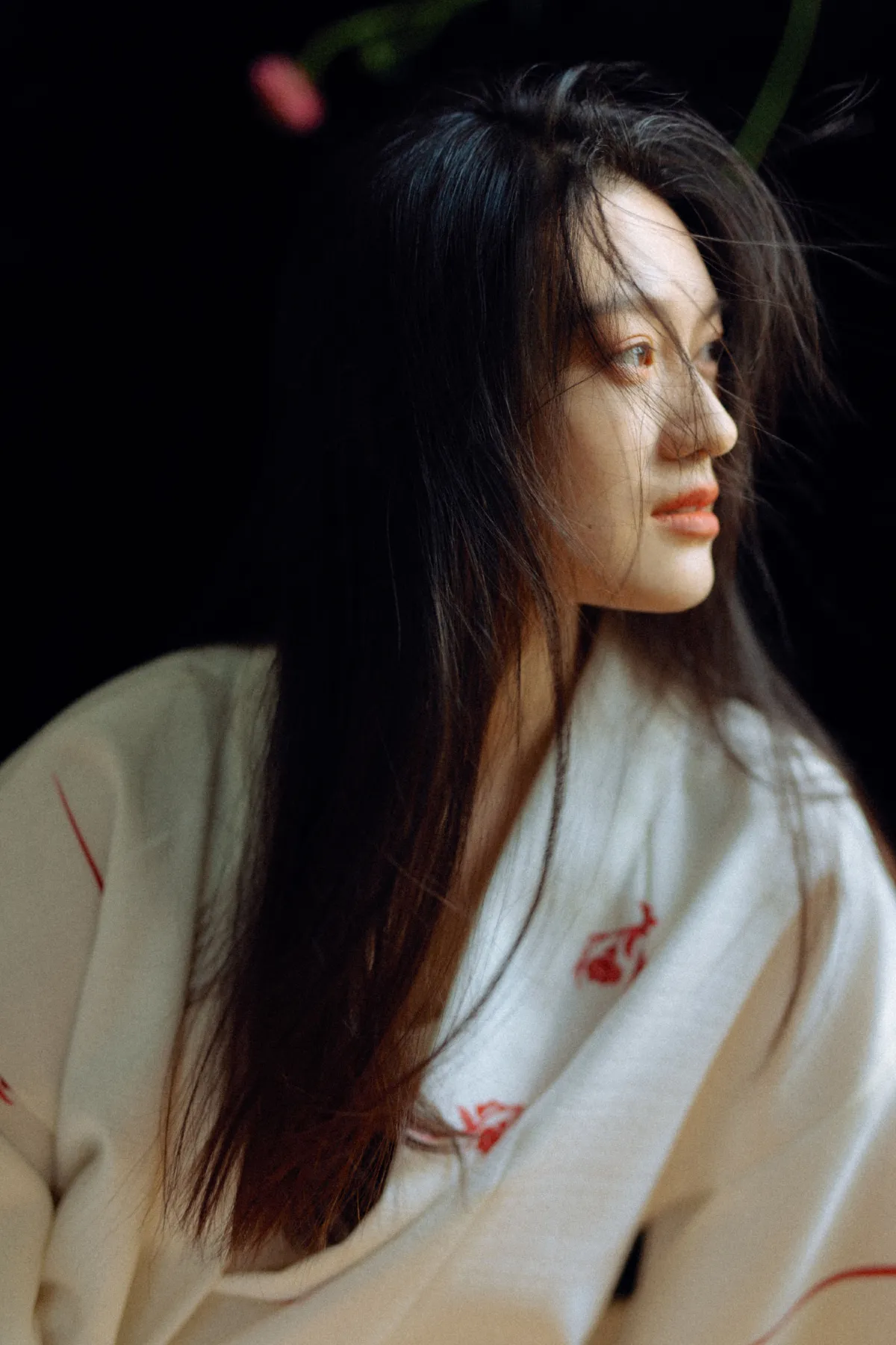 寻迹2