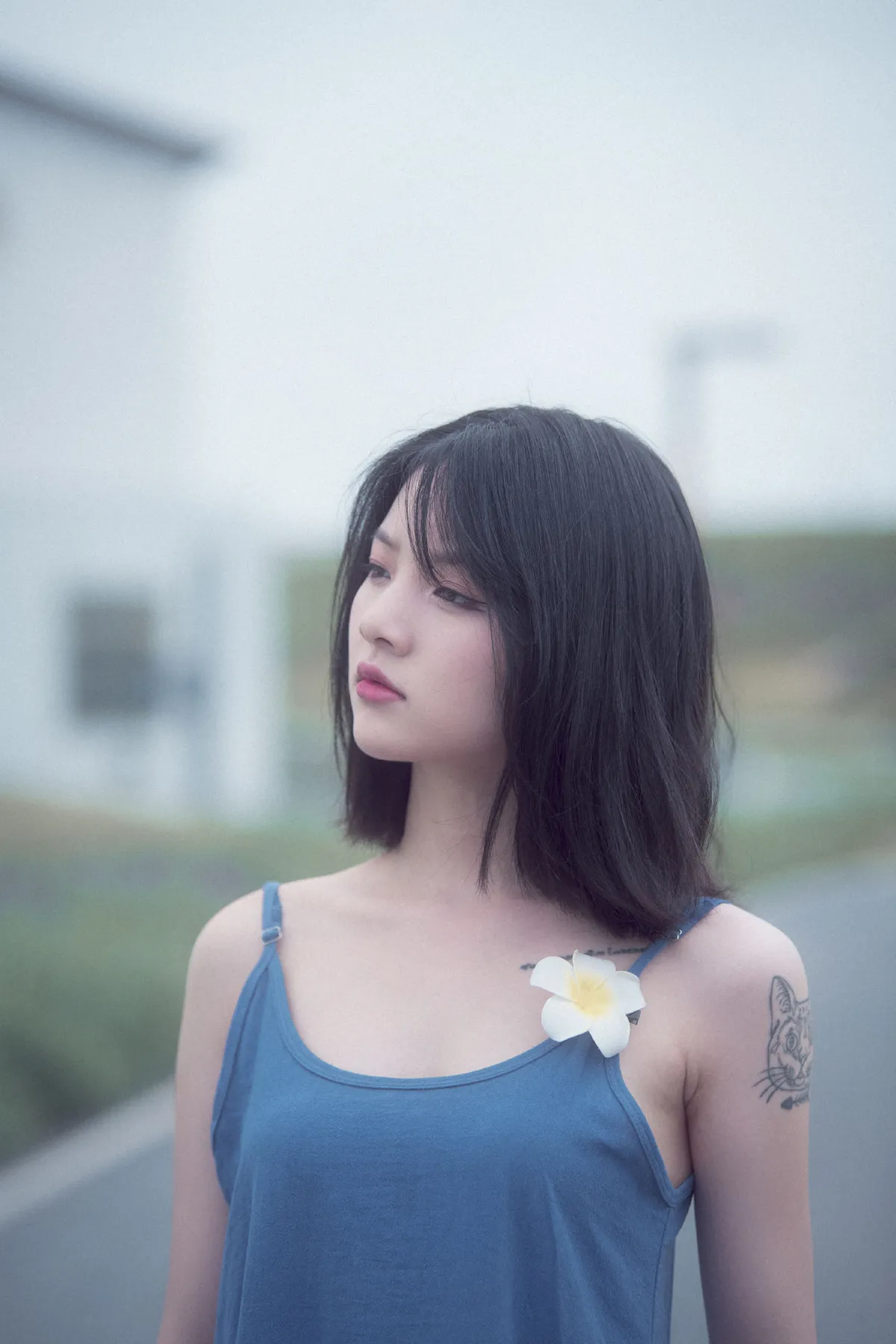 不再清晨2