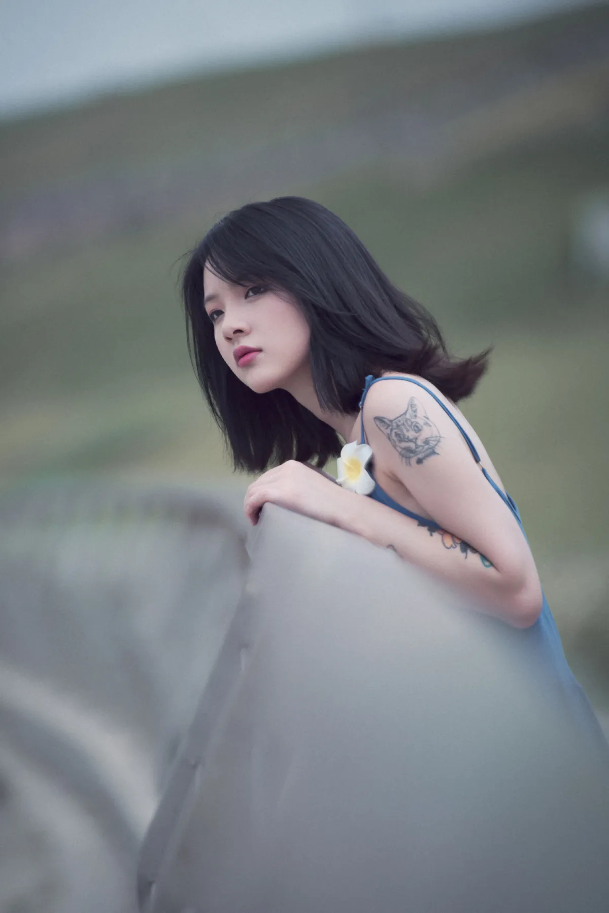 不再清晨