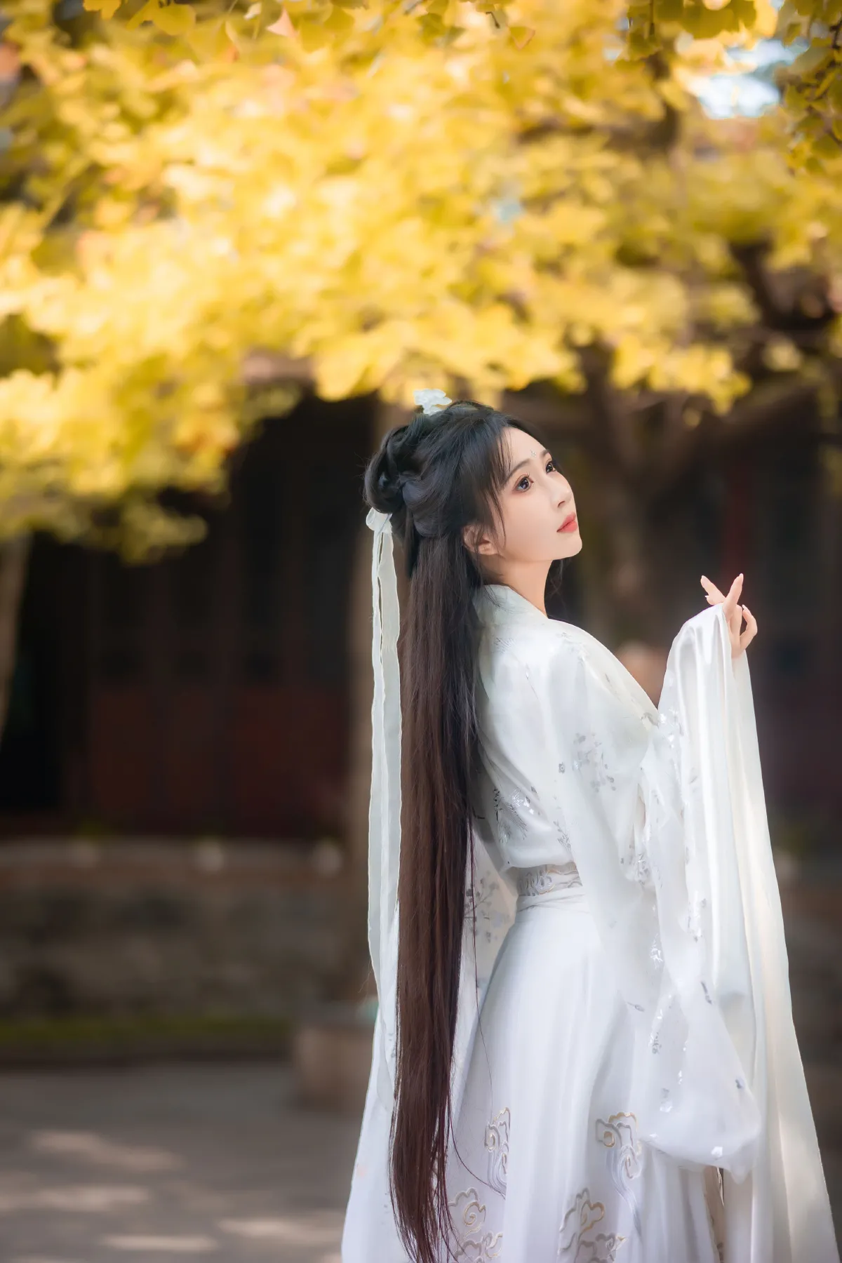 白衣渡我
