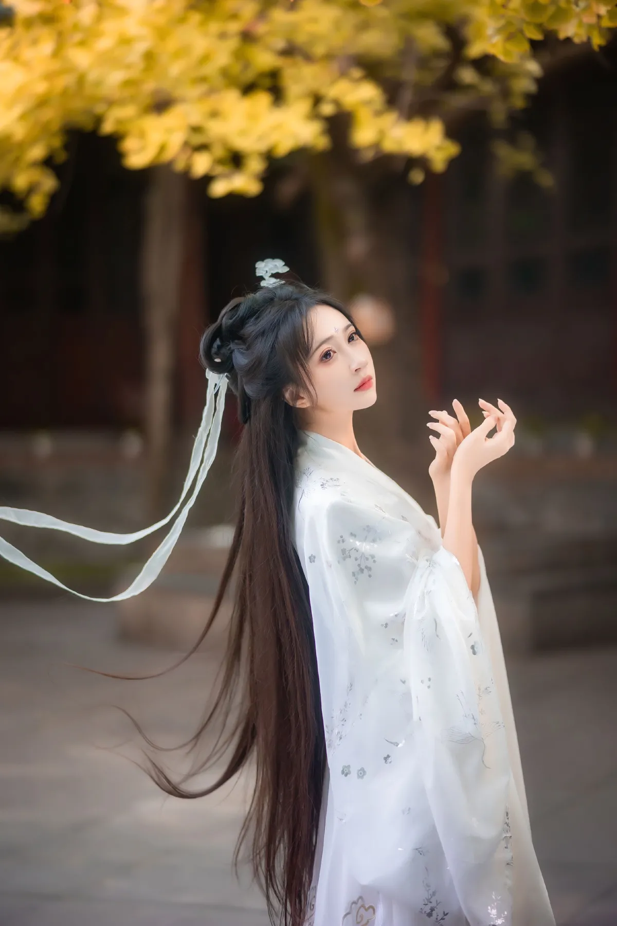 白衣渡我
