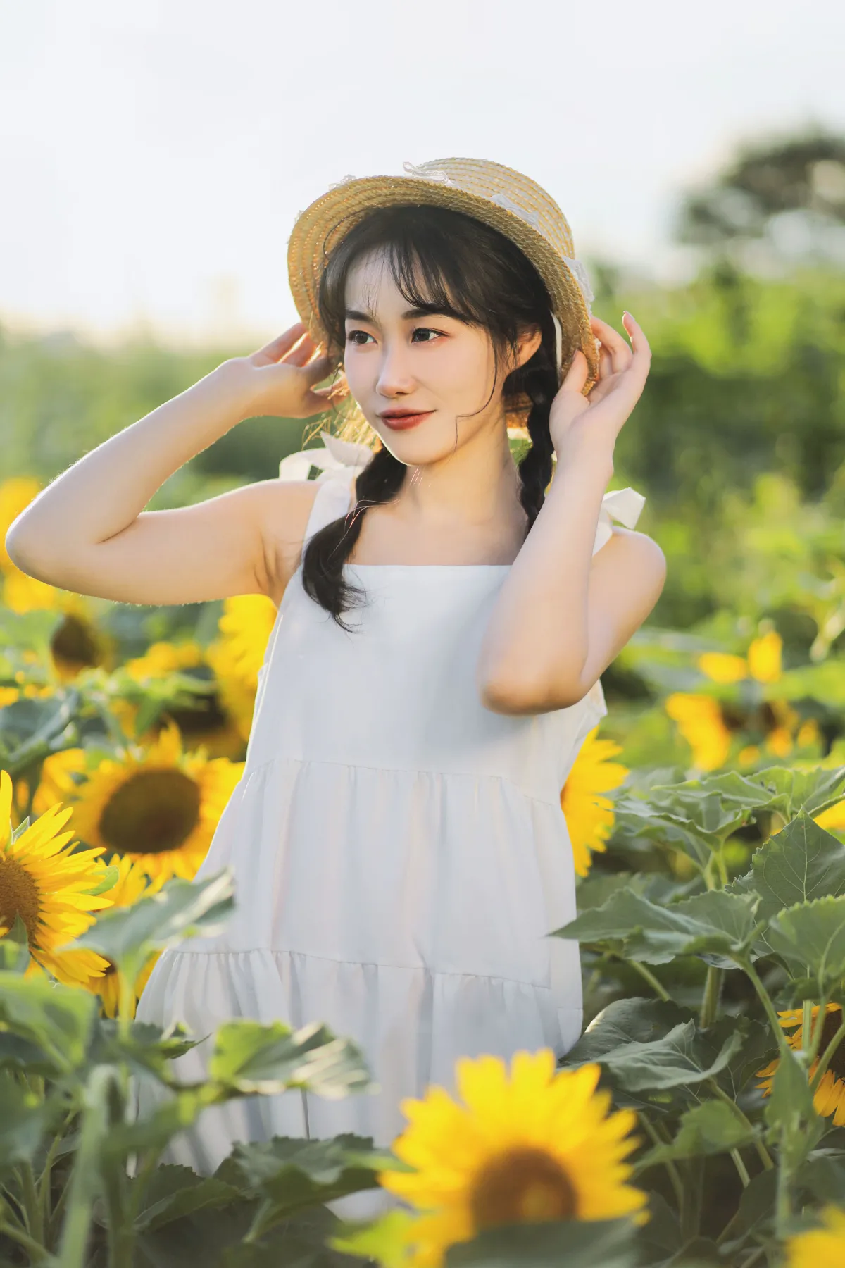 向阳之花