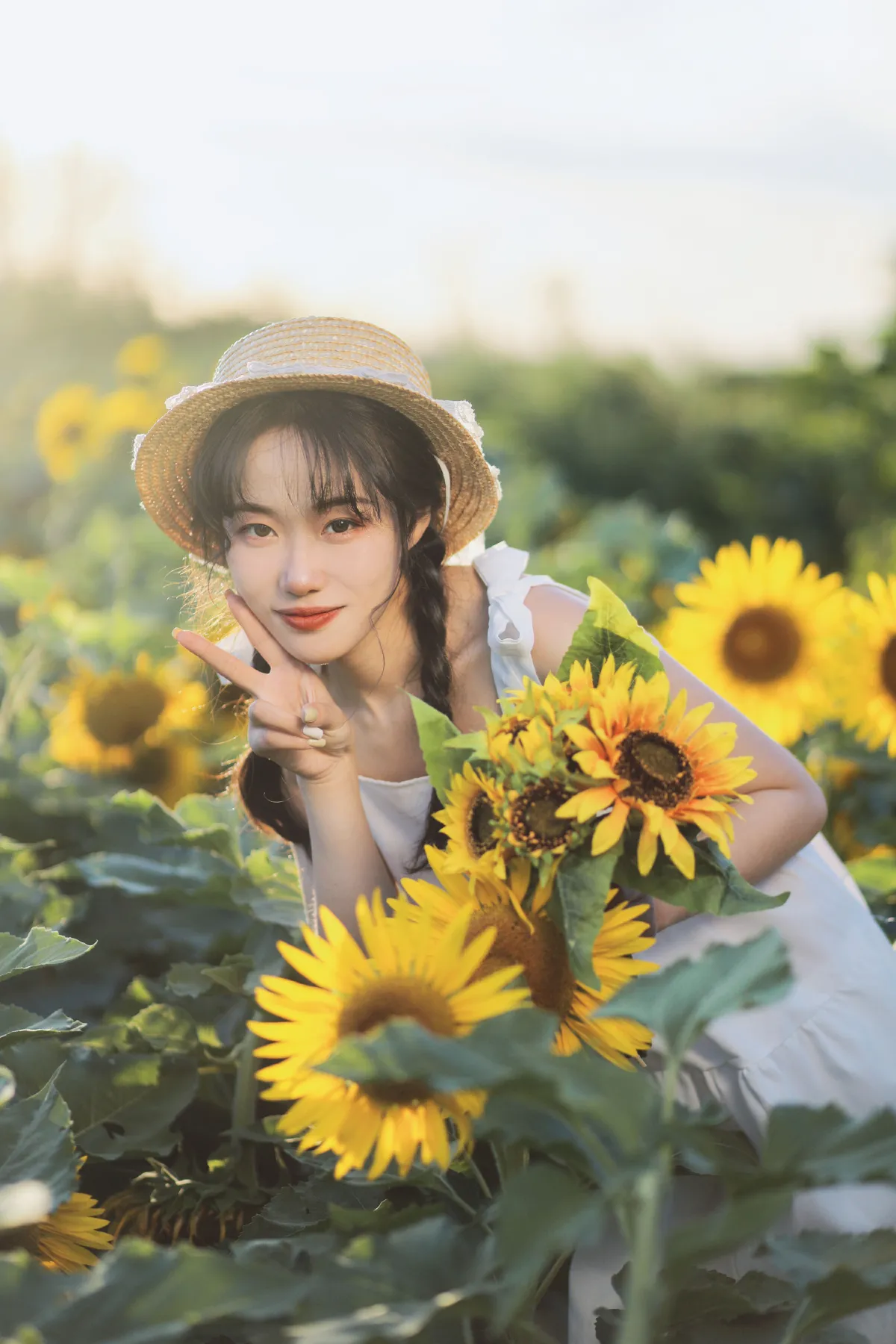 向阳之花