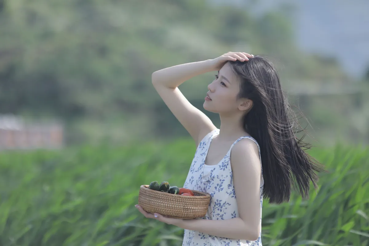 稻香