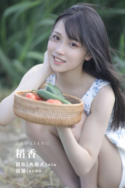 稻香
