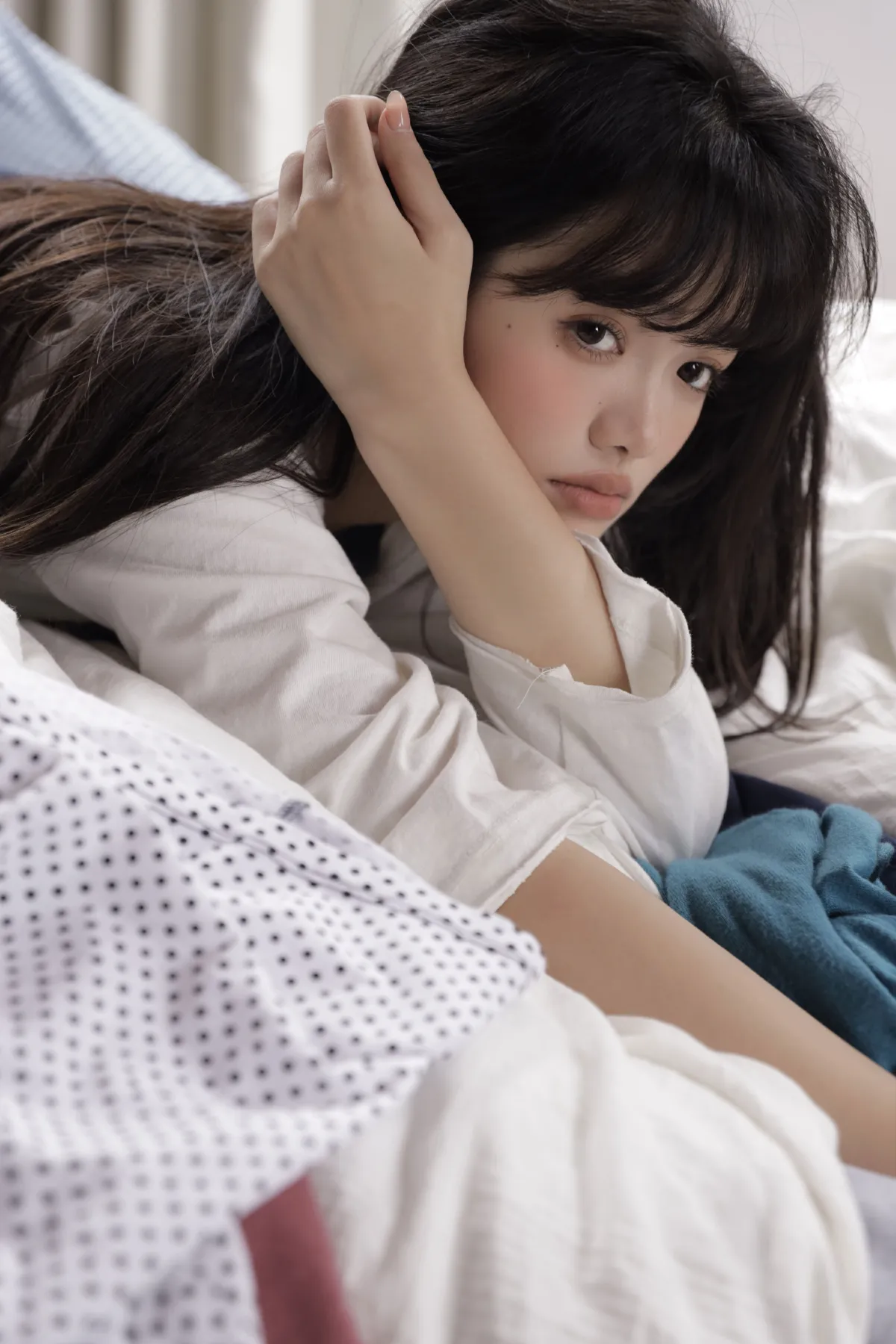 Hi,小狗