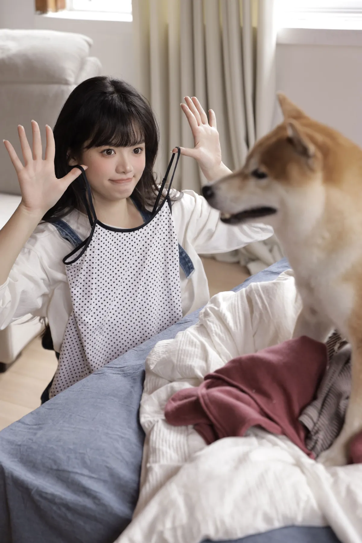 Hi,小狗