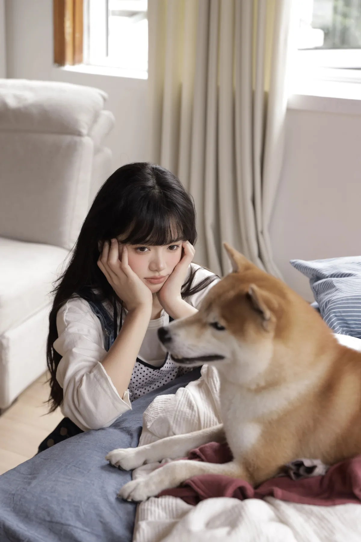 Hi,小狗