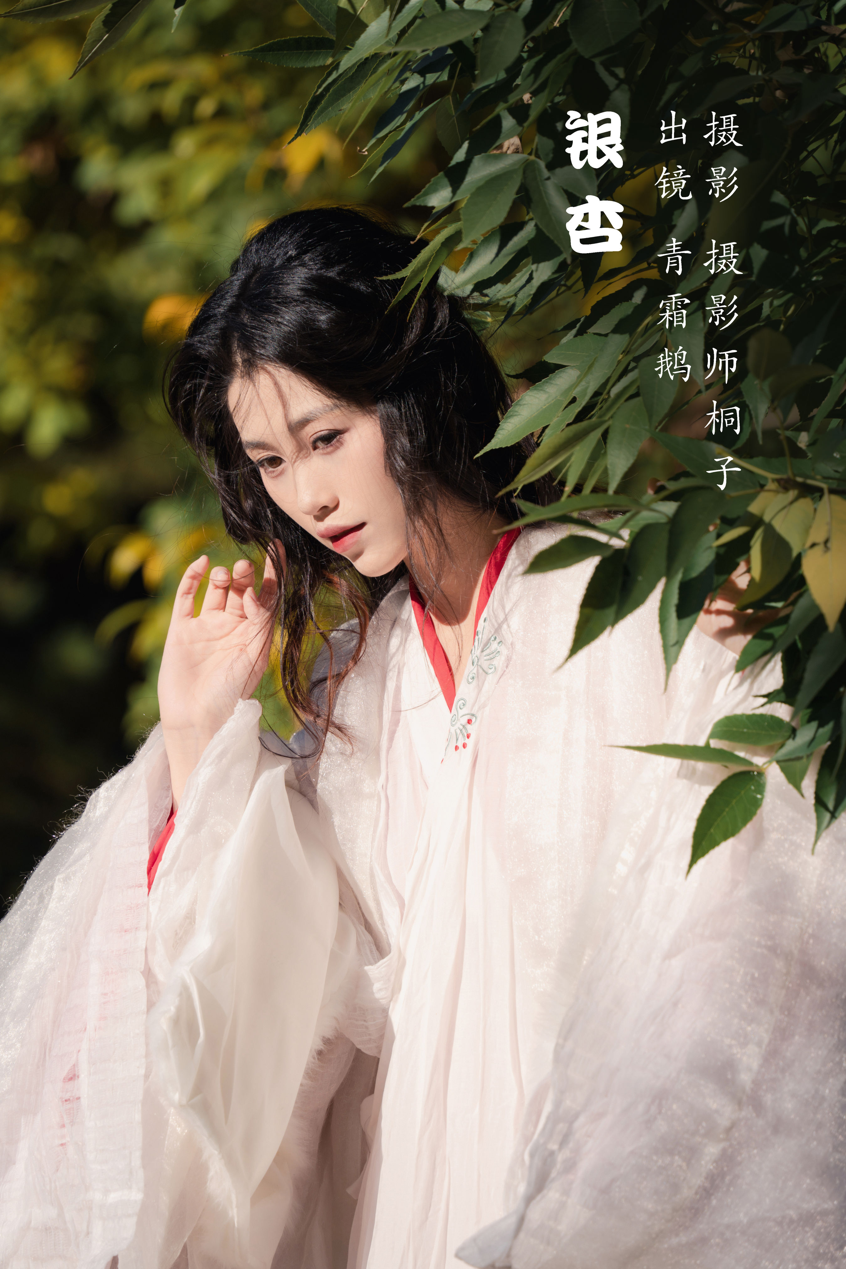 摄影师桐子_青霜鹅《银杏》美图作品图片1