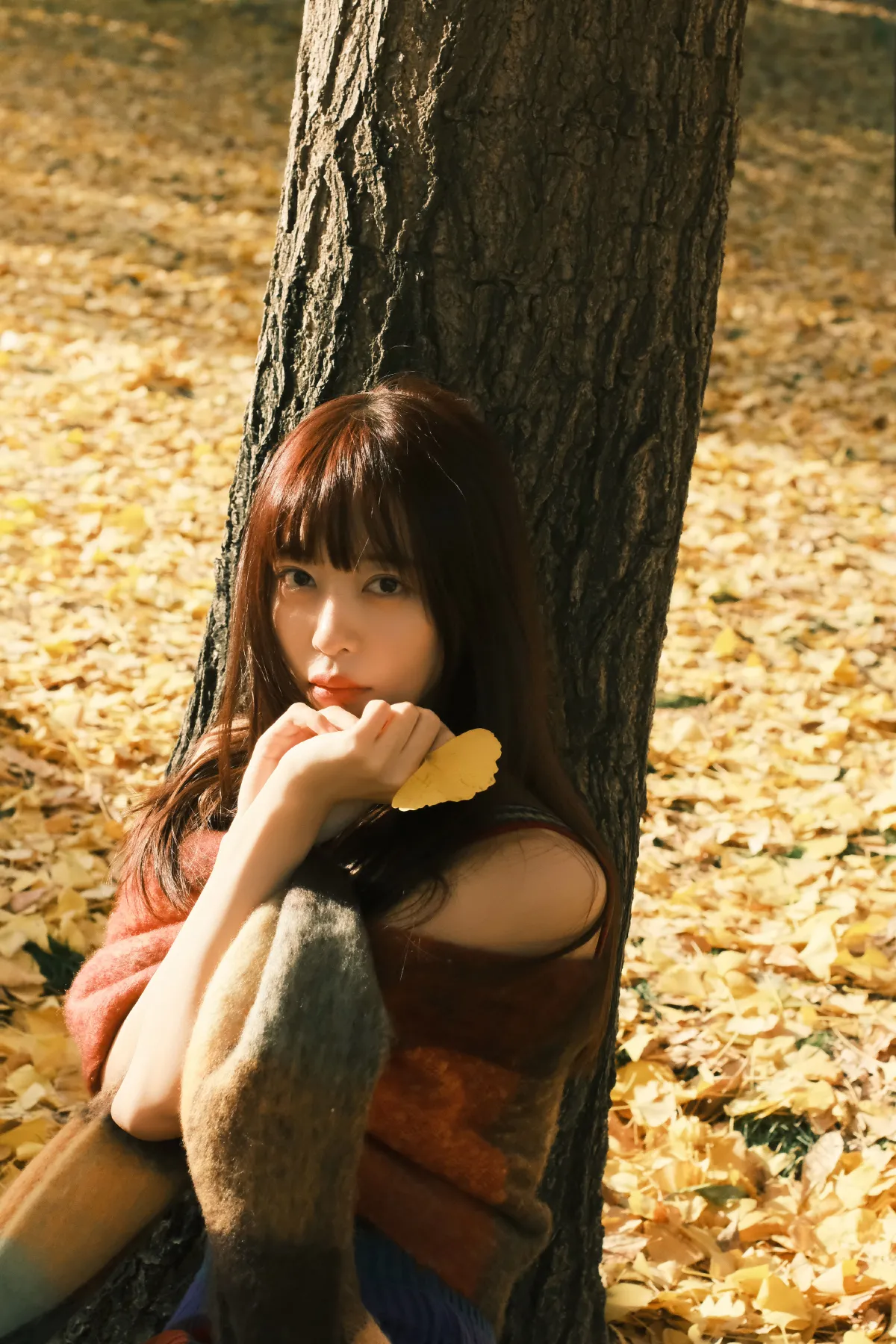 Sa娇少女写真馆_Sweet_t田甜《秋日存档》美图作品图片5