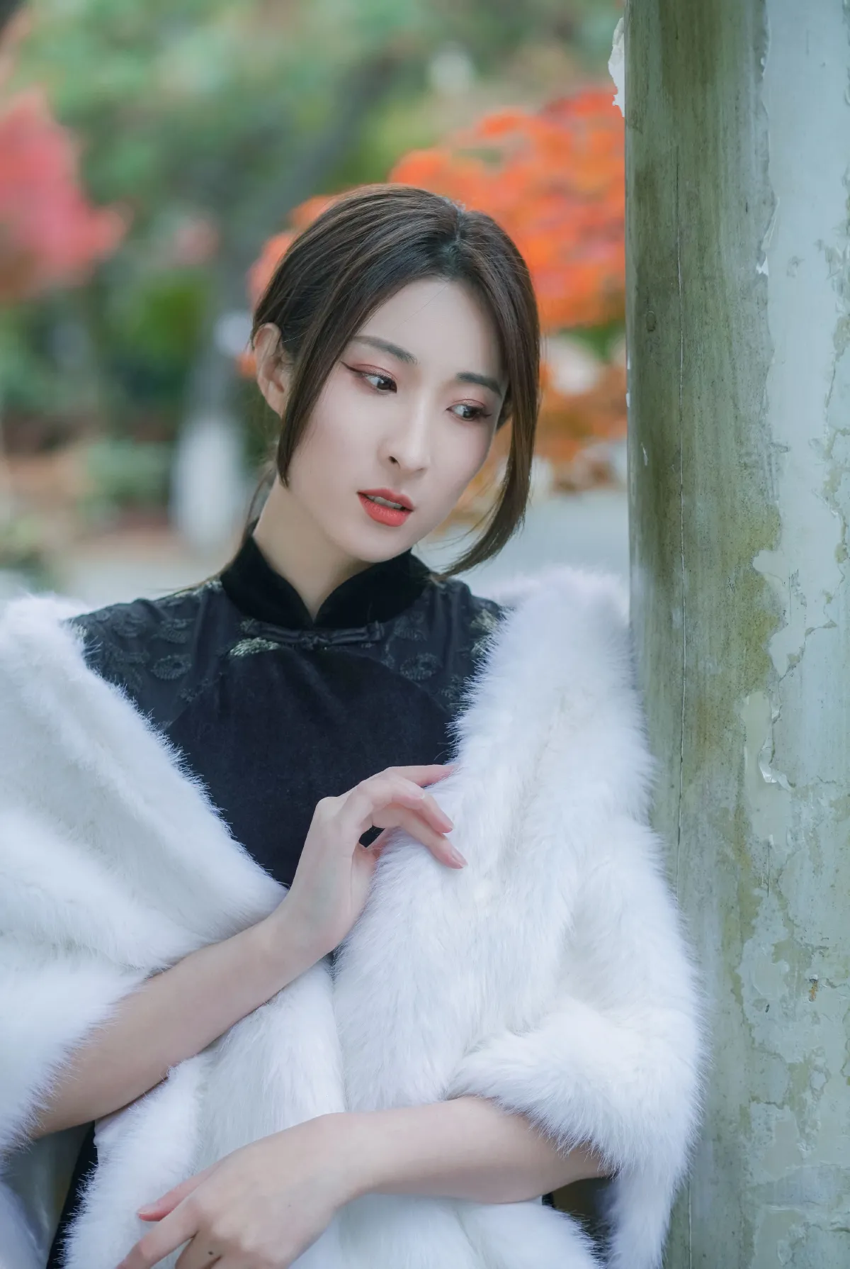 红枫1