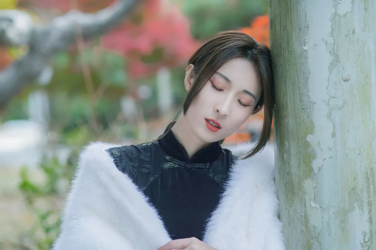 红枫2