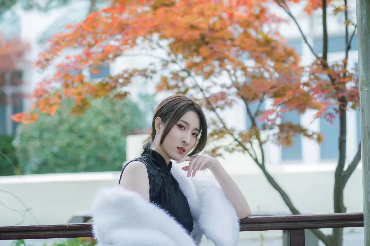 红枫