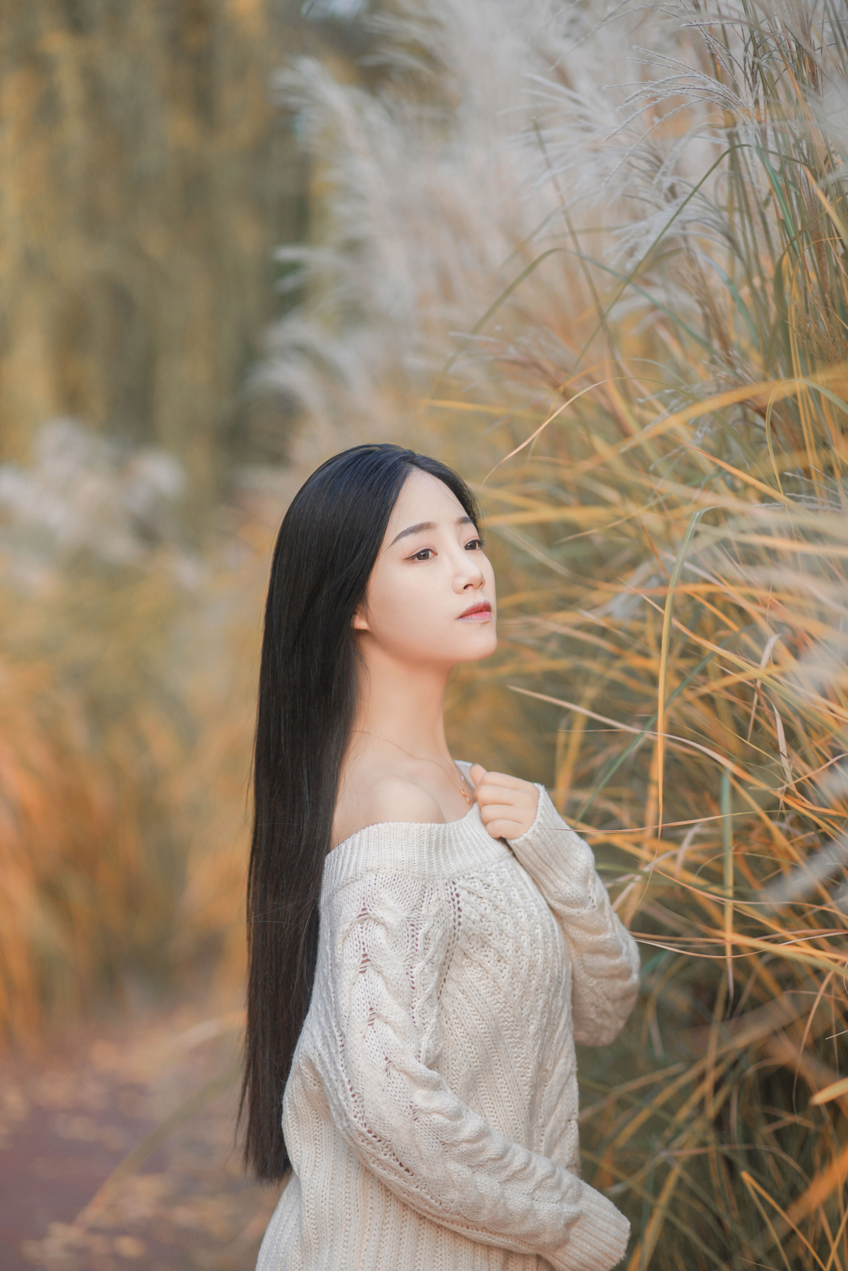 藏在芦苇荡中的温柔