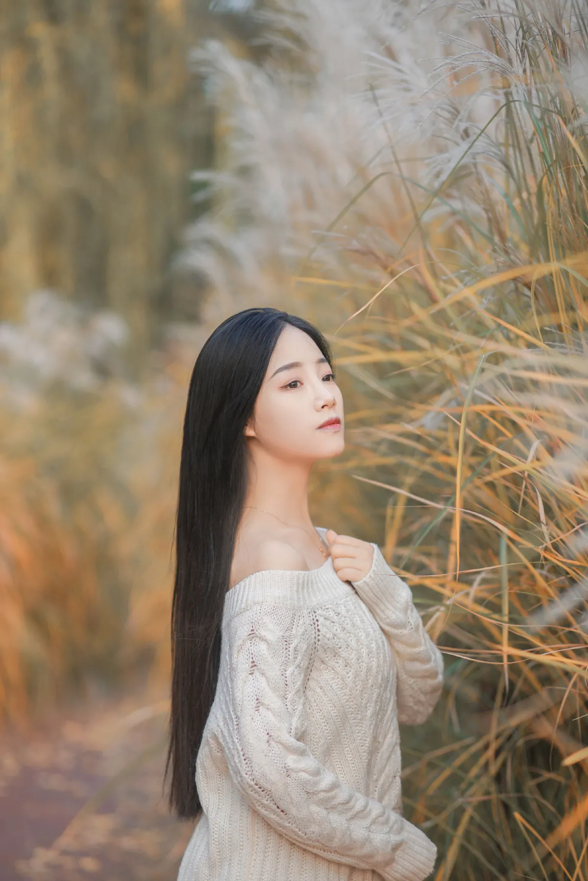 藏在芦苇荡中的温柔