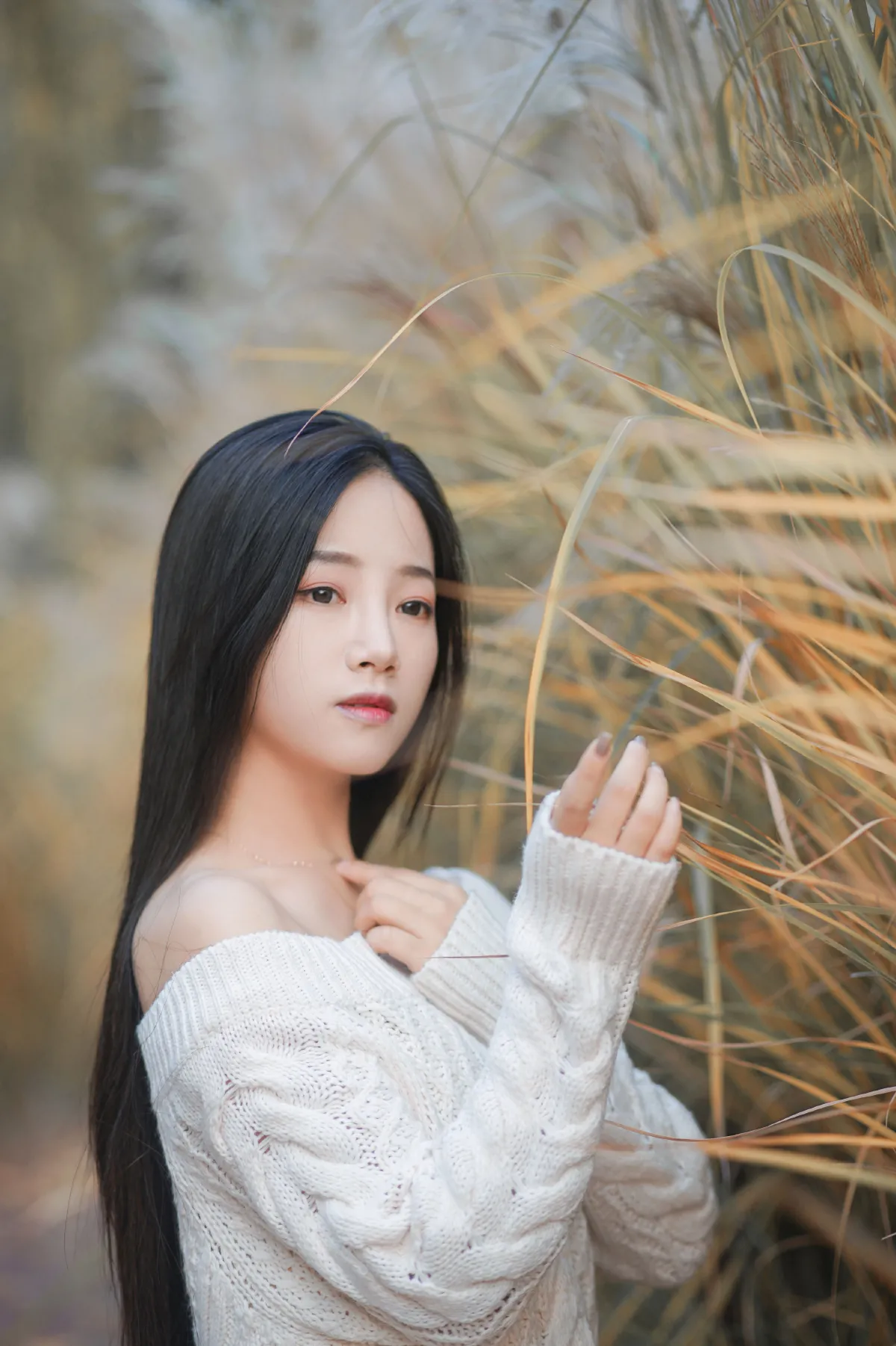 藏在芦苇荡中的温柔2