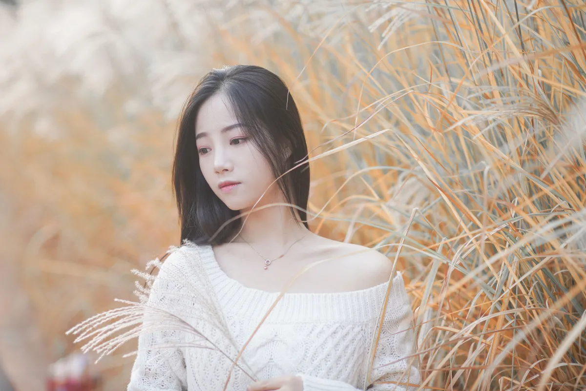 藏在芦苇荡中的温柔3