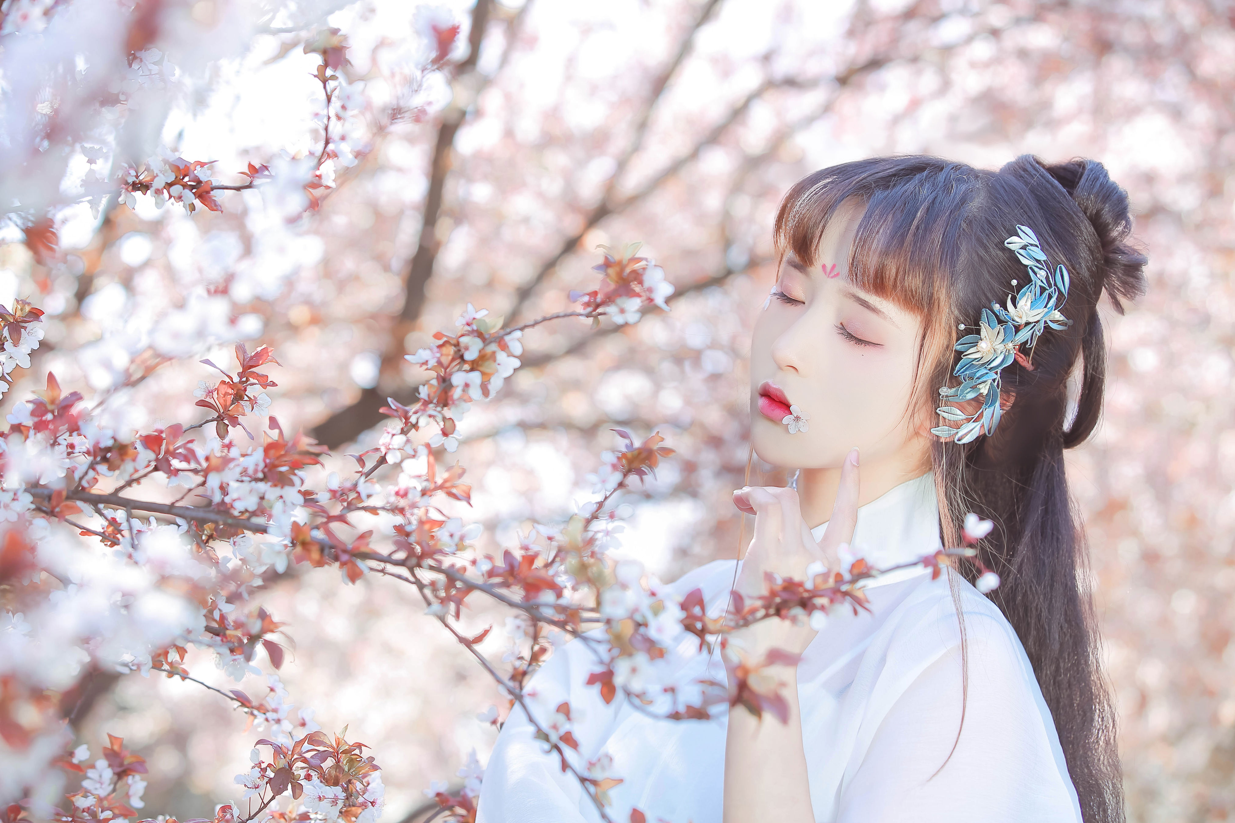 晴光好