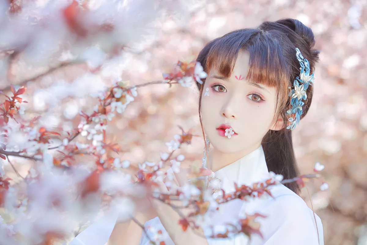 晴光好