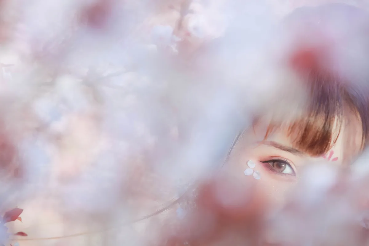 晴光好