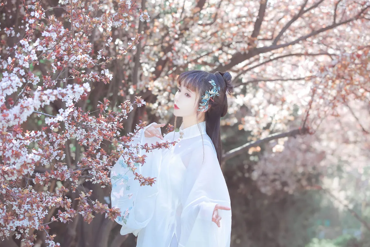 晴光好