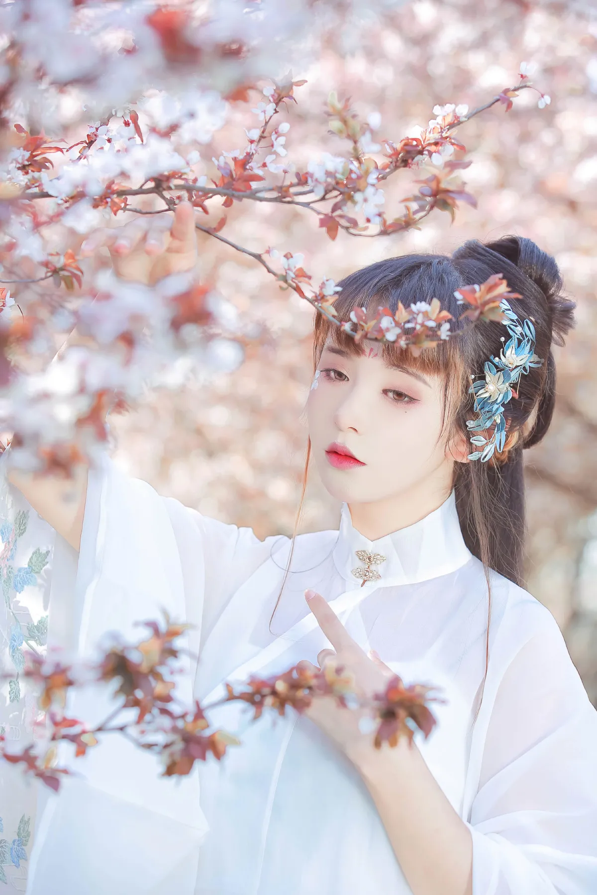 晴光好